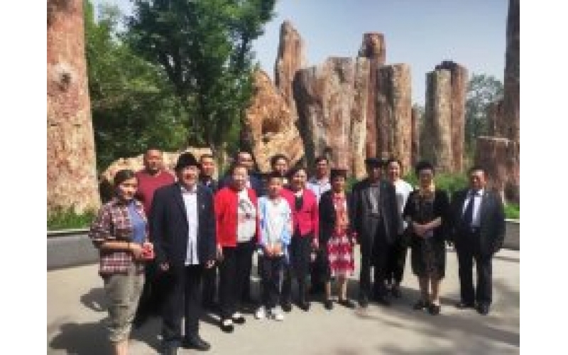 获评“全国最美家庭”的22户新疆家庭走进野马集